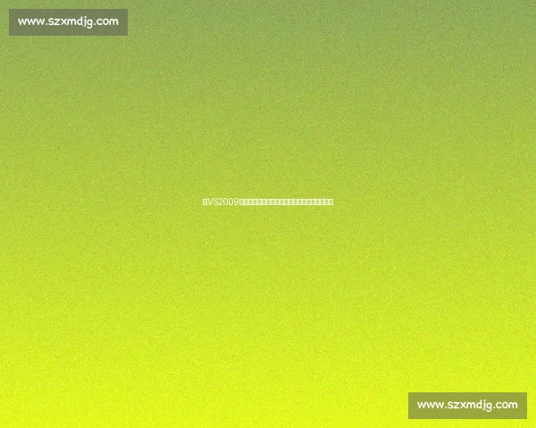 以VS2009为核心的经典开发环境回顾与现代编程实践探索