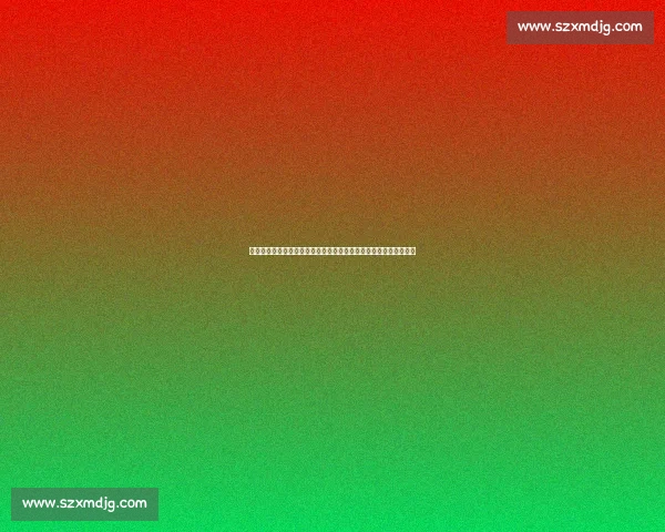 奇才对阵独行侠焦点之战东西碰撞球星对决引爆赛场季后席位争夺夜